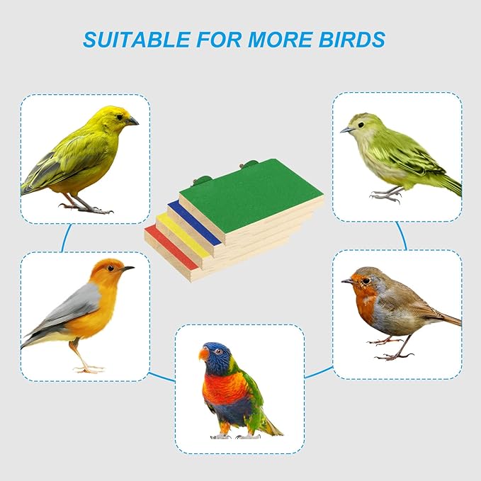 PATIKIL Bird Perch Stand Platform, Parrot Stand Platform Playground Paw Grinding Clean for Parakeet Cockatiel Cage Accessory, Blue