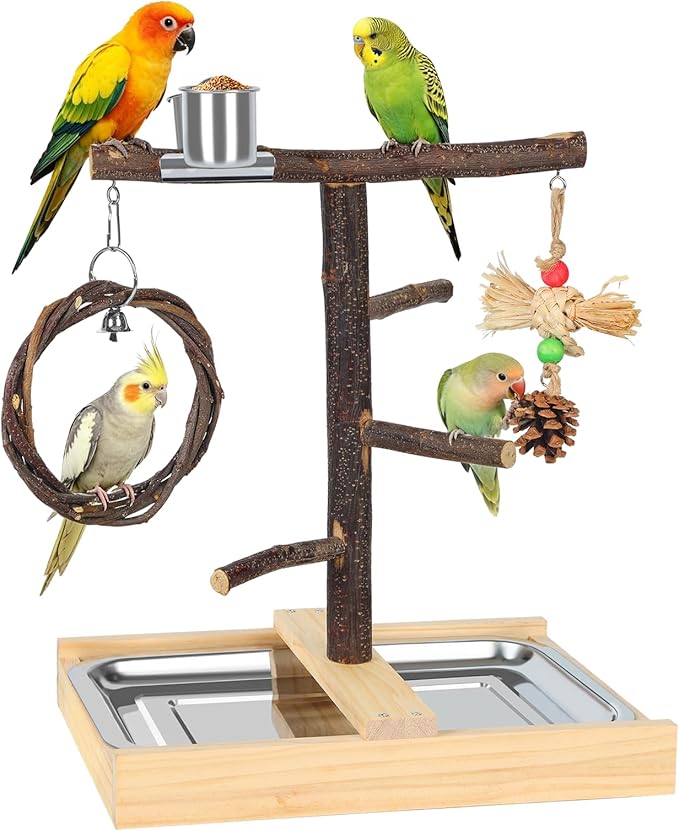 Bird Playground,Natural Wooden Parrot Play Stand with Swing,Chew Toys,Feeding Cups,Bird Perch Suitable for Small and Medium Birds Like Parakeets, Budgerigars,Cockatiels