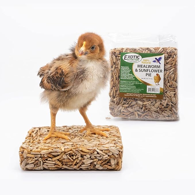 Exotic Nutrition Mealworm & Sunflower Pie - Healthy Natural Suet Basket Feeder Treat - for Backyard Chickens and Wild Birds