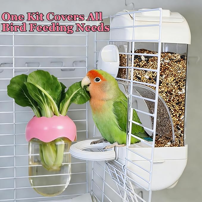 Automatic Bird Cage Feeder No Mess Bird Feeding Station Parrot Vegetable Holder Fruit Clips for Parakeet Cockatoo Canary Lovebirds Budgie (White)