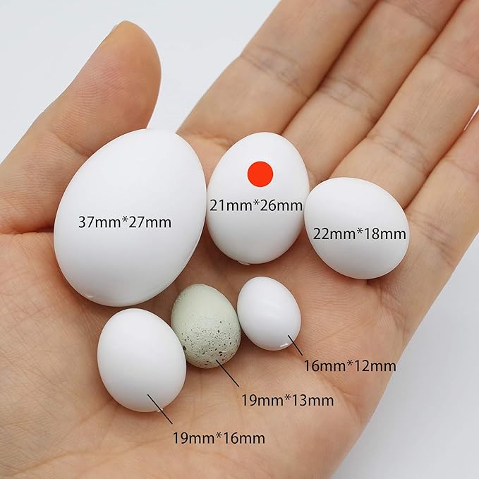 FOIBURELY 4 Pcs Solid Parrot Plastic Eggs Hatching Eggs Green Cheek, Lorikeet&Ringneck Dove, Quaker, Cockatiel. Trick The Birds to Stop Laying Eggs, Fake Eggs