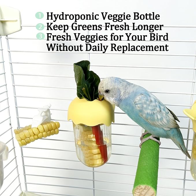Automatic Bird Cage Feeder No Mess Bird Feeding Station Parrot Vegetable Holder Fruit Clips for Parakeet Cockatoo Canary Lovebirds Budgie (Blue)
