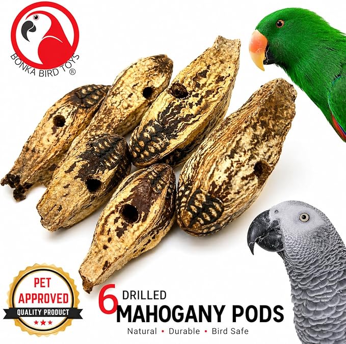 Bonka Bird Toys 3410 Drilled Mahogany Pods Shreddable Foraging Bird Toy with Natural Materials Hanging Cage Toy 9" for Small to Medium Parrots Conure Cockatiel Budgie Chewing Enrichment (Pack of 6)