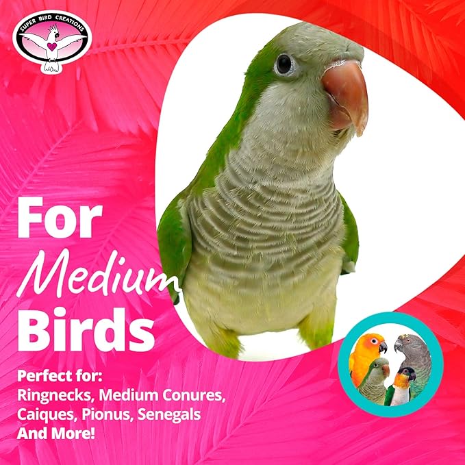 Super Bird Creations SB736 Wiggles and Wafers Bird Toy - Interactive Enrichment for Conures, Quakers, Caiques, Pionus, Senegals - Wooden, Acrylic Beads, Pacifiers - Medium Bird Size, 3” x 5” x 9”