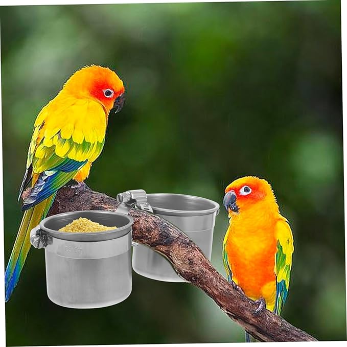 GANAZONO Parrot Standing Pole Feeder Pet Parrot Feeding Container Steel Construction Easy Install