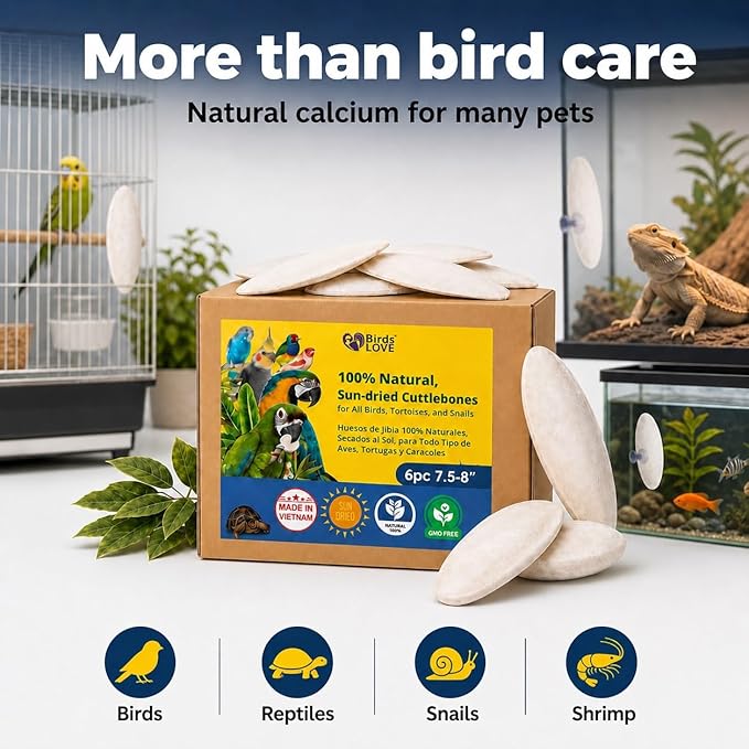 Birds LOVE 7.5-8" Cuttlebone for Birds – 100% Natural Sun-Dried Calcium Carbonate Mineral Supplement – for Parakeets, Budgies, Cockatiels, Finches & Canaries – 6 Pack with Holder – Made in Vietnam