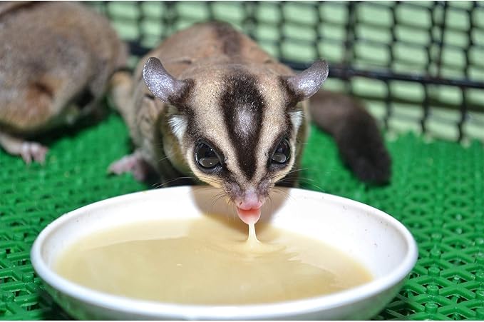Exotic Nutrition Gliderade Nectar (3 lb.) - Vitamin-Enriched Healthy Nectar Supplement - Powdered Mix - Provides Necessary Carbohydrates for Sugar Gliders