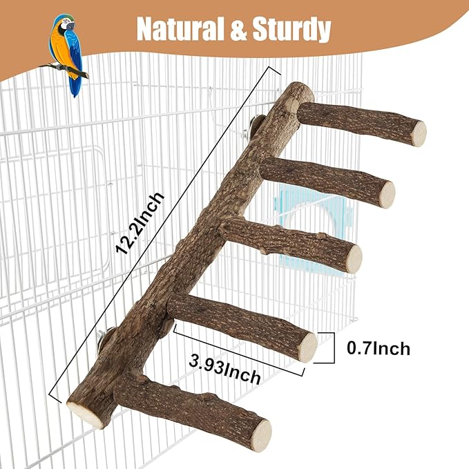 Parrot Wood Stand, Parrots Perch for Cage, Natural Bird Ladder for Small Medium Parrot, Parakeets, Cockatiels, Conures, Hamster(12.2 inch)