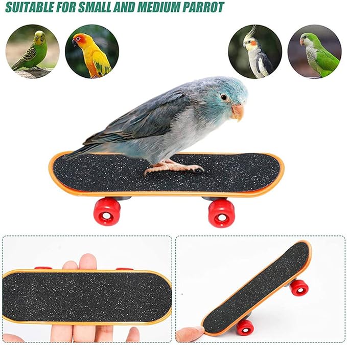4Pcs Bird Training Intelligence Toys Set Included Training Basketball, Colorful Stacking Rings, Mini Skateboard and Shopping Cart Toy, Sepak Takraw for Parrots Budgies Cockatiel Parakeet #6
