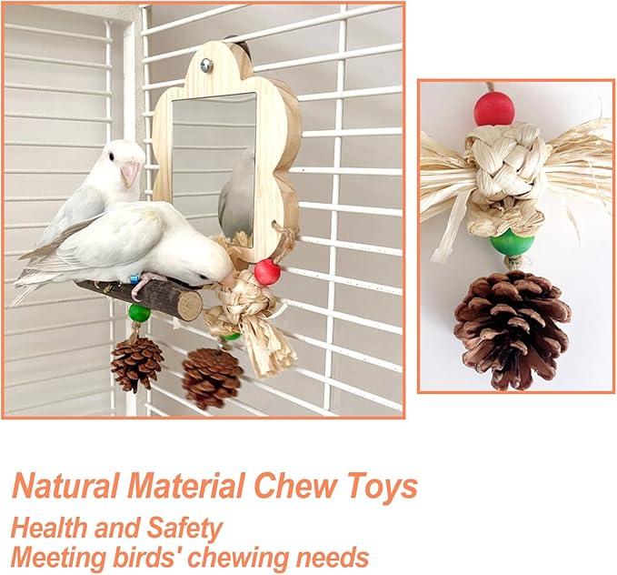 Bird Mirror with Perch, Cockatiel Mirror for Cage, Parakeet Toys with Chew Toy,Bird Cage Accessories for Parrot Conure Lovebirds Finch Canaries(Pinecone)