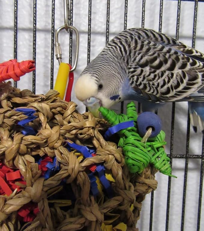 Super Bird Creations SB50949 Pickin’ Pocket Bird Toy - Ideal for Cockatiels, Parakeets, Parrots - Small to Medium Birds - Fun & Entertaining Bird Toy - Bird Safe Component & Design - 7.5"x5" (2 Pаck)