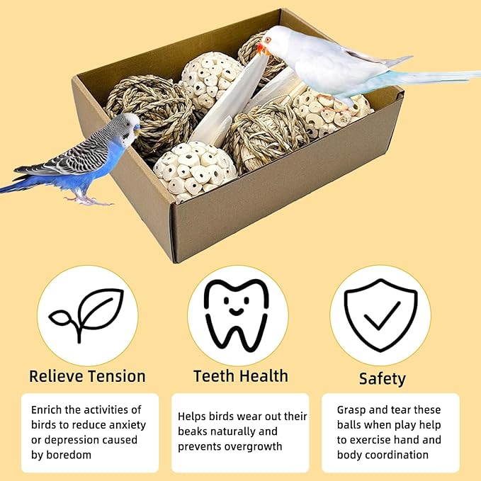 10PCS Bird Toys Sola Balls 2.36IN Parakeet Toys 2.76IN Natural Chew Grass Balls with Cuttlebone for Parrots Conures Rabbits Hamster Guinea Pig Chinchilla (Style 1)
