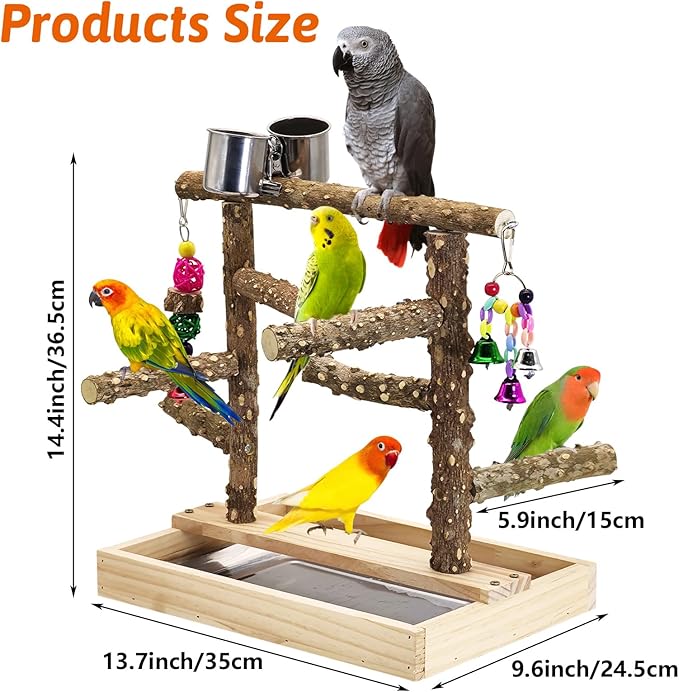 BNOSDM Natural Wood Bird Playground for Training & Playing, Parrot Perch Stand Jungle Gym with Detachable Tray & Stainless Feeder Cups Parakeet Cage Playstand for Budgie, Cockatiel, African Grey