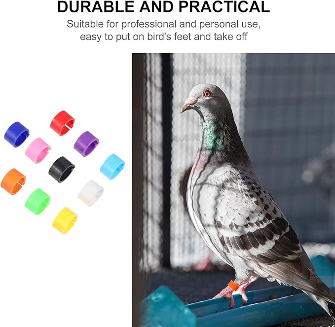 EXCEART Birdies Pigeon Foot Ring 100Pcs Plastic Bird Leg Band Rings Multi-Color Leg Rings Bird Clips Ankle Band Racing Pigeon Bands for Pigeon Dove Chicks Bantam