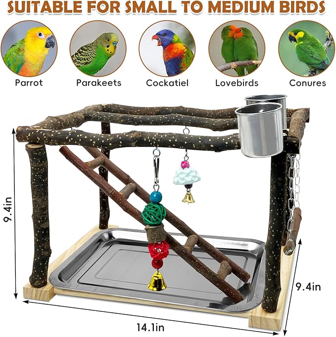 Tfwadmx Parrots Playstand Bird Play Gym Cockatiel Playground Wood Perch Stand Climb Swing Ladders Chewing Toys with Feeding Cups Exercise Activity Center for Conure Cockatiel Lovebirds