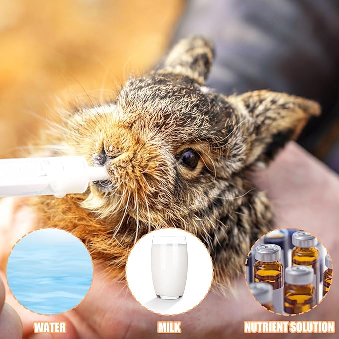 Baby Bird Feeding Syringe Set, Pet Parrot Milk Feeding Syringe with Tubes, Parrot Feeding Tubes Measuring Tools for Feeding Pets Scientific Industrial Labs… (20ml)