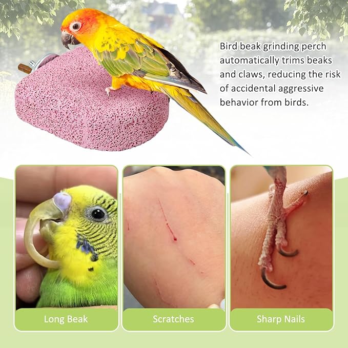 BNOSDM 4 Pcs Bird Beak Grinding Stone Chew Toy Parrot Calcium Perch Bird Stand Platform Parakeet Cage Accessories for Budgies, Cockatiels, Conures, Lovebirds, Finch (Pink)
