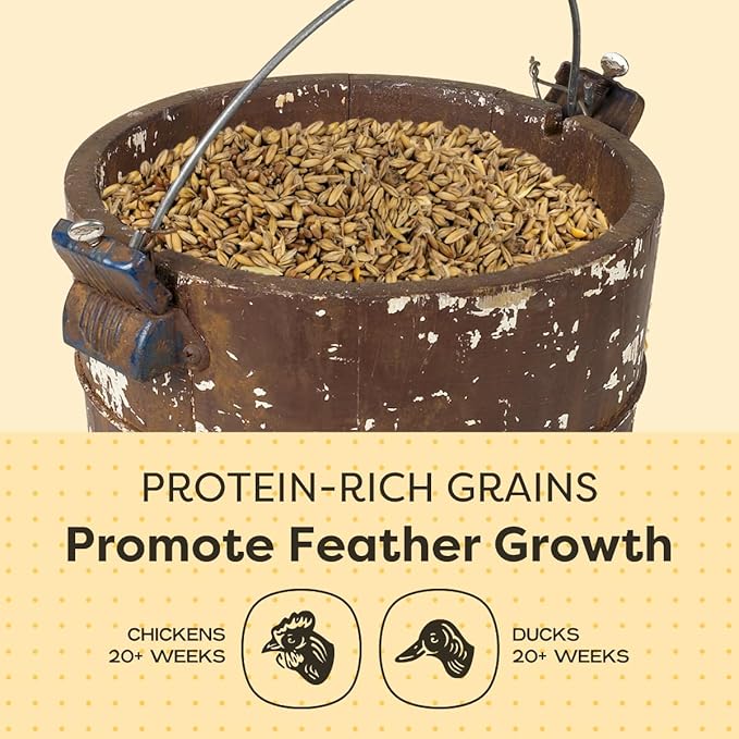 Scratch and Peck 3 Grain Scratch Chicken and Duck Supplemental Grain - 10 lbs Bag - Corn-Free and Soy-Free - 9.8% Protein, Certified Organic and Non-GMO Project Verified Chicken Food