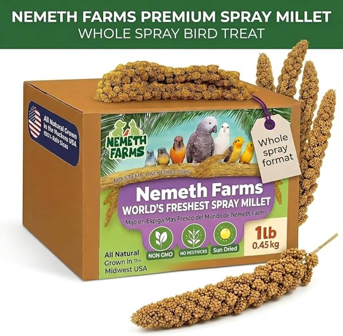Nemeth Farms Spray Millet - Edible Tops Only, Non-GMO and Sun-Dried - 1 lb for Parakeets, Canaries and Finches
