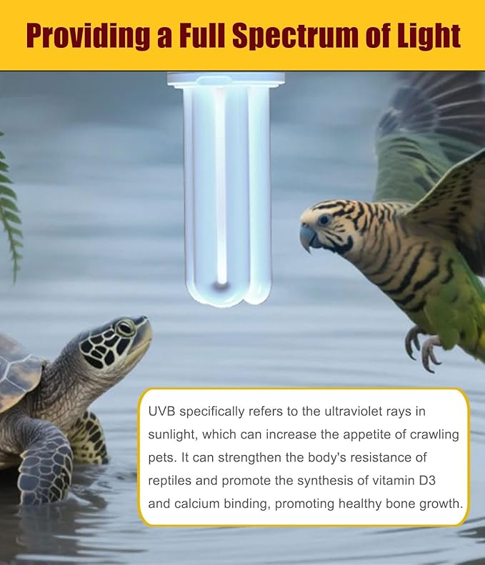 KINGYEENUO 2 Pack E26 UVA UVB Light Bulb for Birds 2.4 UVB 20W Compact Flourescent Lamp for All Kinds Captive Birds, Natural Sunlight Simulation Bird Parrot Light Bulb