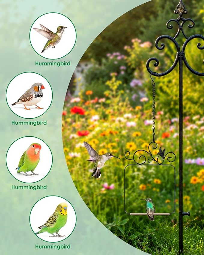 PACETAP Hummingbird Swings and Perches Metal Frame 2 Pack, Wild Bird Swing Outdoor Bird Perch with Wooden Dowel and 2 Hanging Chain for Hanging Indoor, Outdoor, Trunk, Lawn, Patio, Garden (Black)