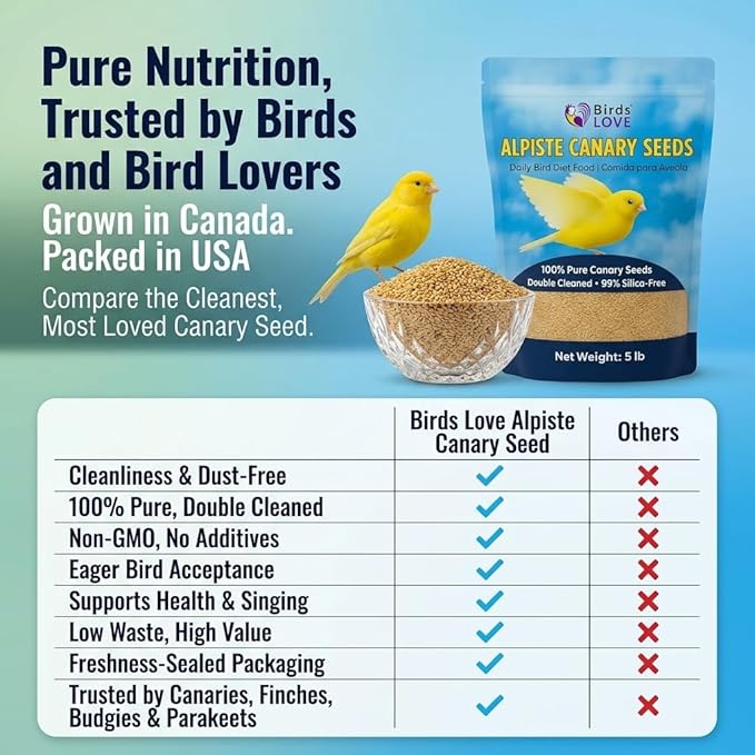 Birds Love Alpiste Canary Seed – 100% Pure, Non-GMO, Double Cleaned Food for Canaries, Finches, Budgies & Parakeets – No Additives, Bird Feed, 5 lbs