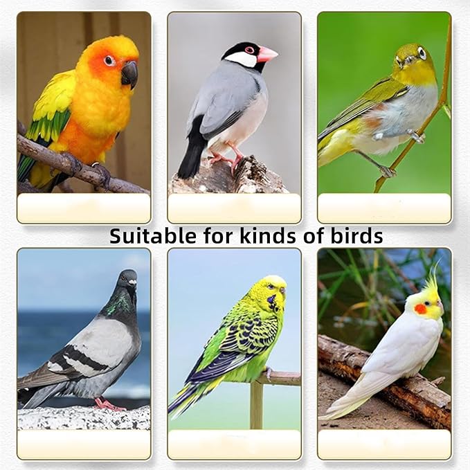 Bird Feeder, No Mess Cage Hanging Feeder Cup Pet Bird Food Double Plastic Seed Water Dispenser Standing Frame for Parrots Cockatiel Pigeon Sparrow Cage Bowl
