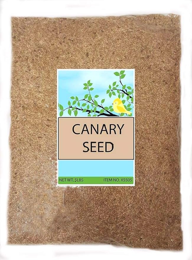 Canary Seed Alpiste Bird Food