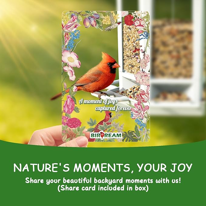 Birdream Solar Bird Feeders for Outdoors Hanging, Assembly Required, 1-Min Easy Setup, Wild Seed Feeders for Cardinals Chickadees and Finches