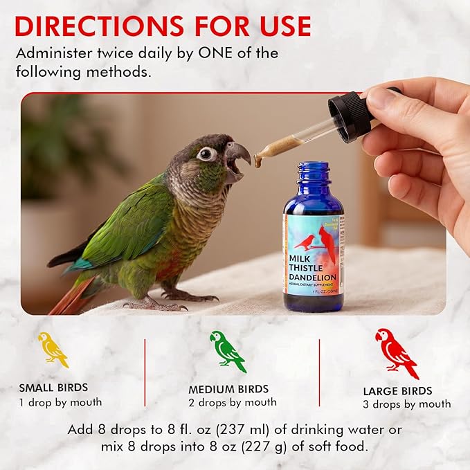 Morning Bird Milk Thistle & Dandelion Extract 1 fl oz – Organic Herbal Supplement for Birds – Supports Liver Health & Natural Detox – Suitable for All Bird Species