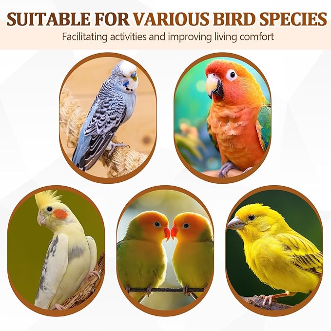 Sintuff 8 Pcs Bird Perches for Cage Accessories, Wooden Perch Rods Replacement with Double Head Slots, 0.6 Inch Diameter Natural Wood Stand for Parrot Macaw Cockatoo Parakeet (30 Inches)