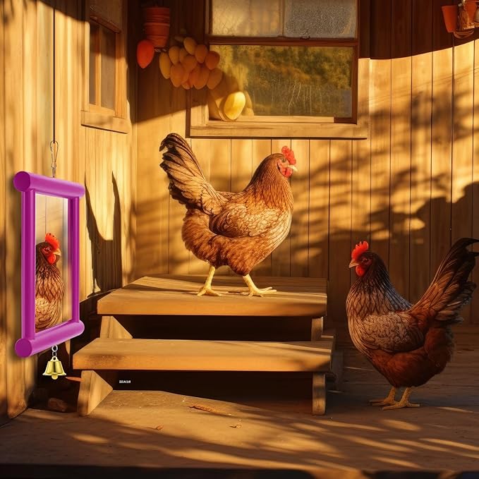 Sadnyy Extra Large Chicken Mirror Toys Hanging Swing Double Side Mirror with Bell Wooden Pecking Toy for Hens Birds Parrots Coop Roosters Enrichment Toy for Poultry(Square, Rose Red, 1pcs)