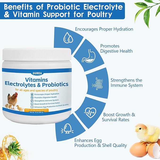 Chicken Vitamin, Electrolyte & Probiotic Supplement - Support Hydration Digestion Immunity Egg Production – Poultry Supplement for Chickens, Ducks, and All Ages of Birds – All-Season Use,10oz Powder