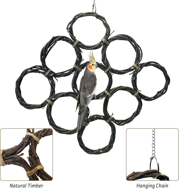 BNOSDM Bird Swing Rings Toy Natural Wood Parrot Climbing Ladder Parakeet Chewing Toys Hanging Budgie Cage Accessories for Green Cheek Conure Cockatiel Lovebird (9 Rings)