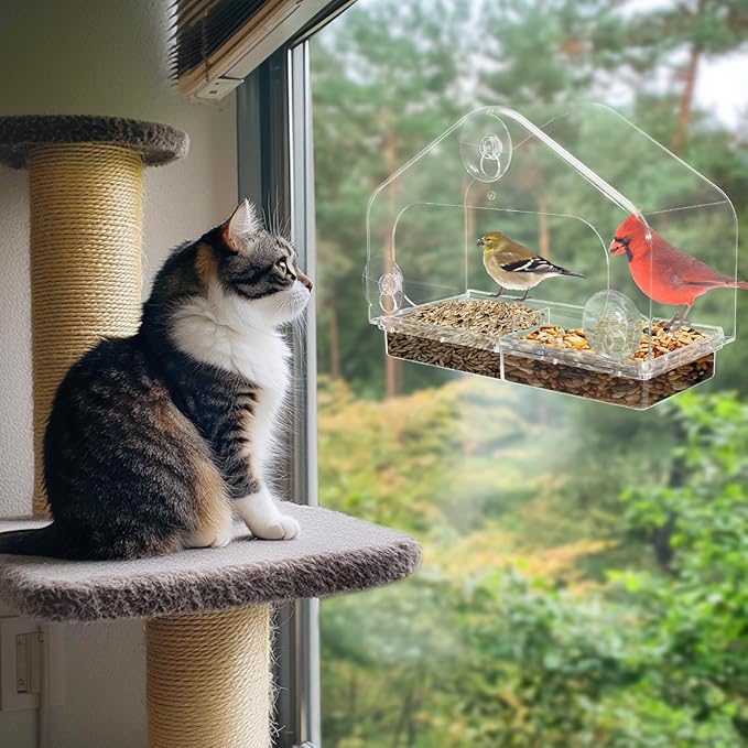 Outdoor Window Bird Feeder for Cats Viewing - Clear Bird Feeder with Strong Suction Cup, Cat Perch Accessories for Entertaining Watching, L