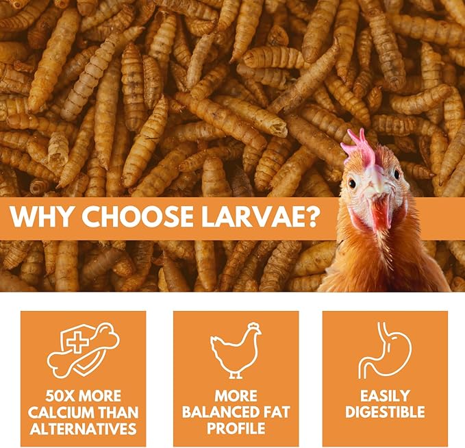 Brooks Brand Black Soldier Fly Larvae Chicken Treats, Mealworms Substitute, Grubs for Chickens, High Calcium for Laying Hens, Made in USA (5 lbs)
