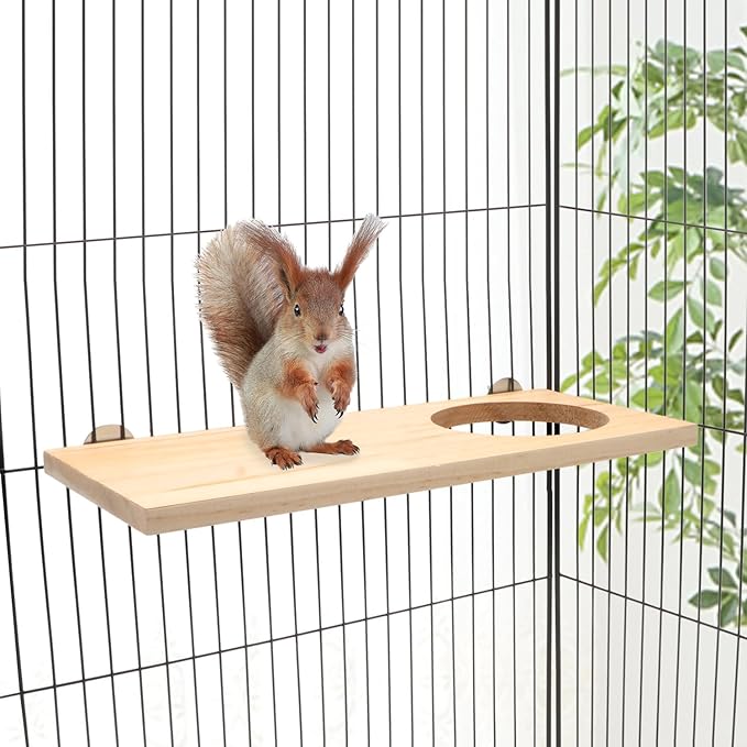 Wontee Bird Perch Stand Wooden Platform for Cockatiels Conures Rats Gerbils Chinchillas Squirrels (M1- with Hole)
