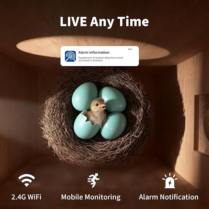 Bird Houses for Outside with Camera Solar Powered: 2K HD Video Smart Bird Feeder for Outdoors Nesting Box with Motion Detection Weatherproof Easy Birdwatching for for BirdLovers