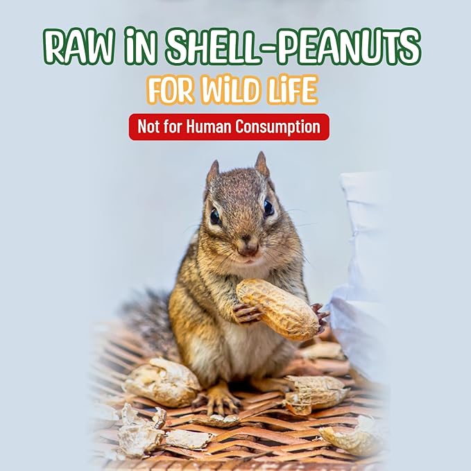 Sneaky Mango Raw Peanuts in Shell - 8 Pounds – All-Natural Food for Squirrels, Deer, Birds, and Other Wildlife Animals – Grown in the USA for Healthy Nutrition