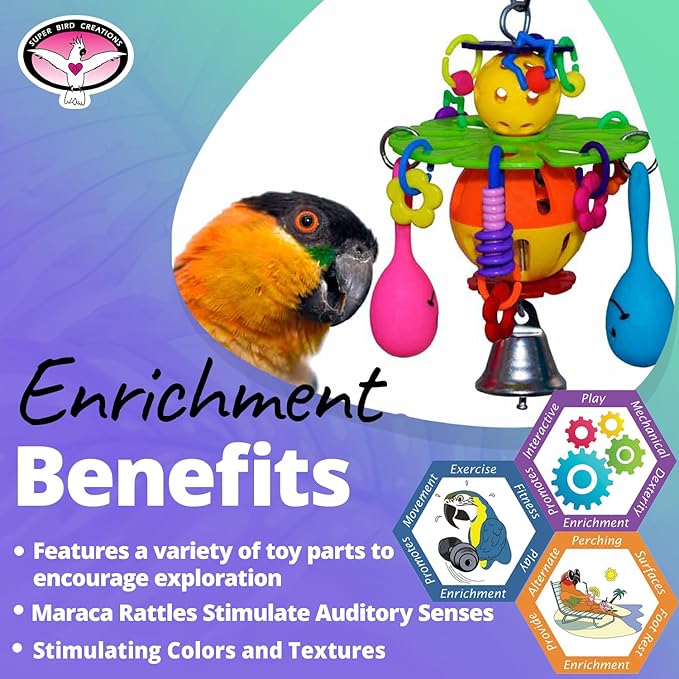Super Bird Creations Maraca Blast Bird Toy