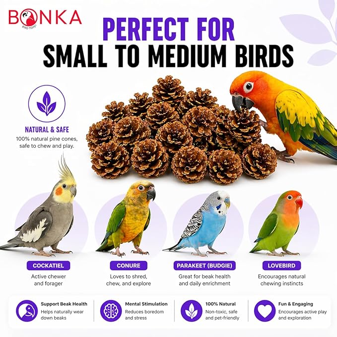 Bonka Bird Toys 3284 Natural Pine Cone Bird Toy 2" Real Pinecone Chew Foraging Toy for Small to Medium Birds Parakeet Cockatiel Conure Finch Cage Enrichment (Pack of 12)
