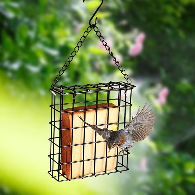 Bird Suet Cake Feeder Feeding Station Decor Pet Supplies Single Cake Basket Holder Garden Cage for Lovers Fruit Patio Outdoor