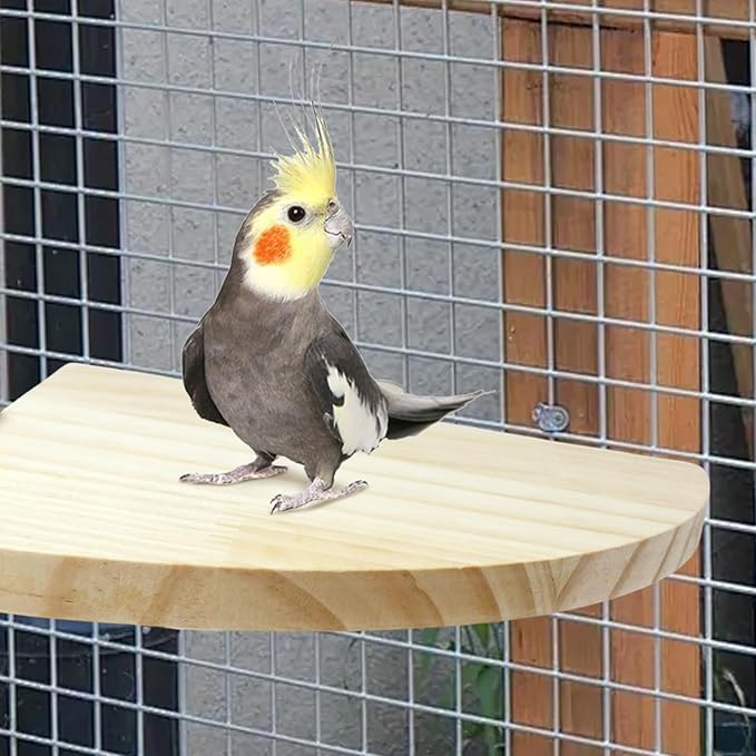 Bird Perches Platform Stand,Birds Platform for Cage,Wooden Perch Corner for Parrots,6.7 Inches Fan Shape Wooden Small Animals Cage Accessories