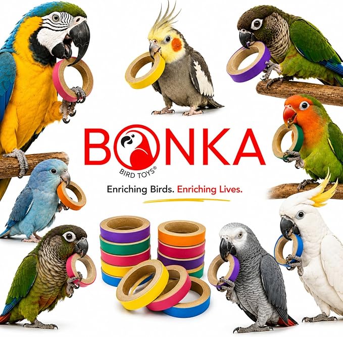 Bonka Bird Toys 2113 Pk24 Chew Bagels, 24-Pack, 2.75" Diameter, Colorful Compressed Cardboard Rings for Chewing, Foraging, and Cage Enrichment, Safe for Parrots, Parakeets, Cockatiels, and Conures