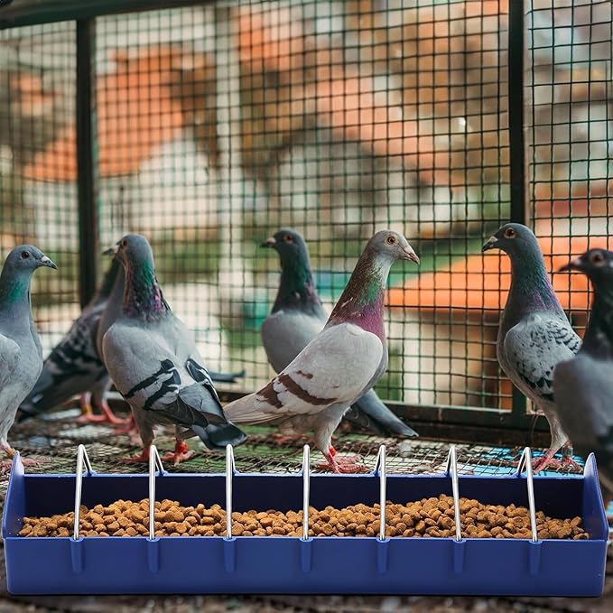 Coloch 4 Pack Large Pigeon Feeder, 8 Slot Poultry Feeder Bowl Thick Chicken Feeding Dish Bird Food Dispenser Tool Slot Container for Bird, Chicken, Duck, Poultry, Parrots
