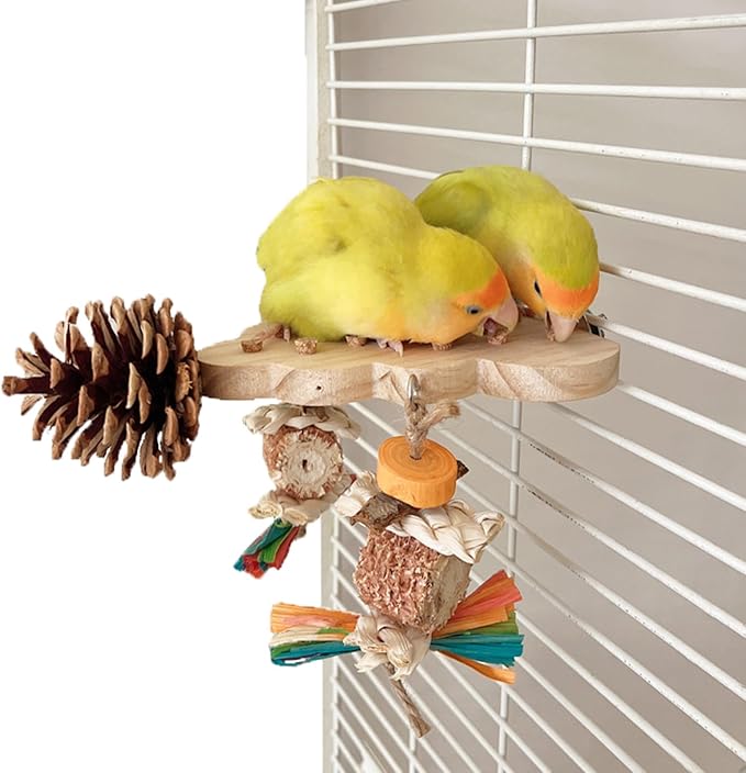 2 Pack Parrot Toys, Parrot Wooden Toys Long Tailed Bird Toys with Pure Natural Corn Sticks and Pure Natural Pine Cones, Fun Bird Cage Accessories (Platform & Platform)