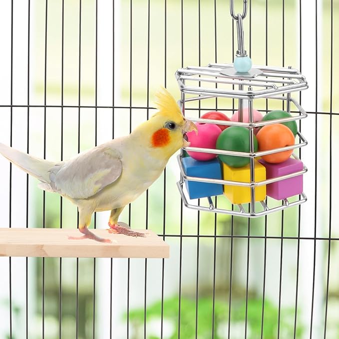 Bird Stainless Steel Foraging Feeder Parrot Hanging Feeding Box for Macaw African Grey Cockatoo Cockatiel Amazon Cage (Foraging Feeder with Blocks)