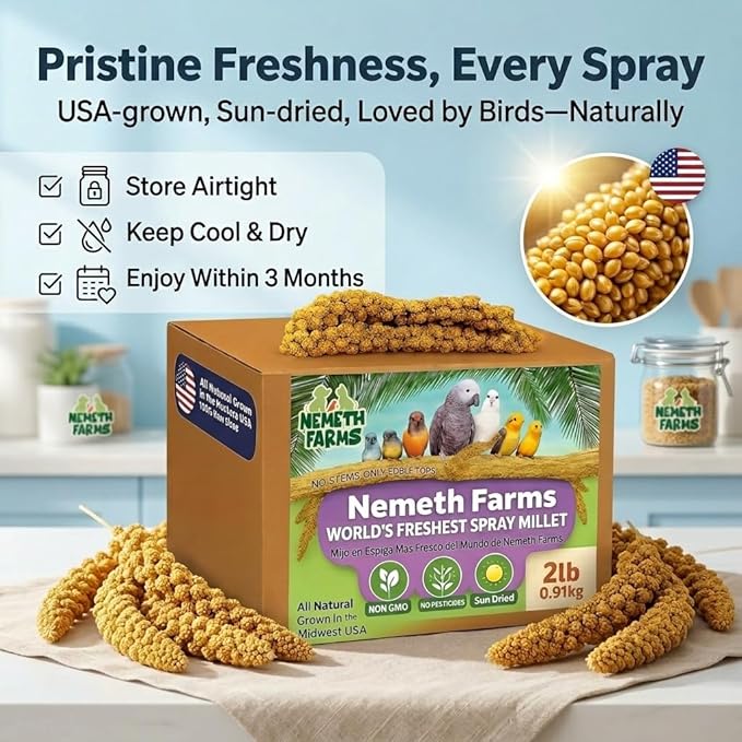 Nemeth Farms Spray Millet - Edible Tops Only, Non-GMO and Sun-Dried - 2 lbs for Cockatiels, Lovebirds and Budgies