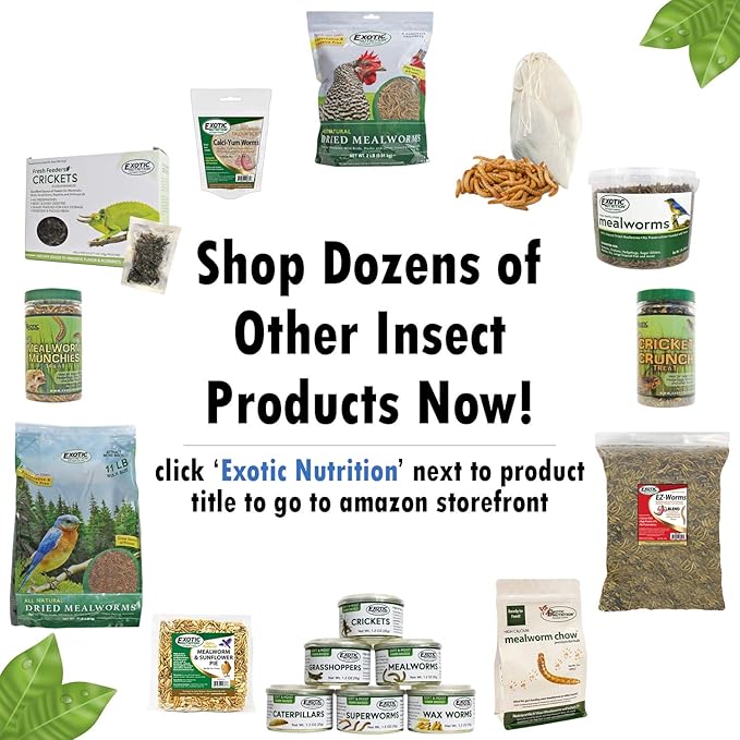 Bug Blend - Healthy High-Protein Dried Insect Treat - Crickets, Mealworms, Grasshoppers - Sugar Gliders, Hedgehogs, Squirrels, Chickens, Skunks, Opossums, Marmosets, Parrots, Birds (3.4 oz.)