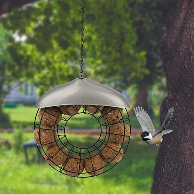 Fat Ball Stand, Fat Ball Feeder for Bird Feeder, Hanging Round Shape Metal, Food Ring Dispenser with Lid